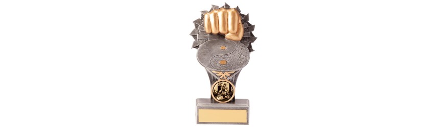 FALCON FIST MARTIAL ARTS RESIN TROPHY - 4 SIZES - 14CM - 24CM FALCON FIST MARTIAL ARTS RESIN TROPHY - 4 SIZES - 14CM - 24CM